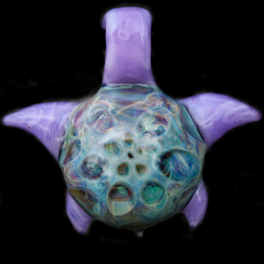 Dreamstar Turtle