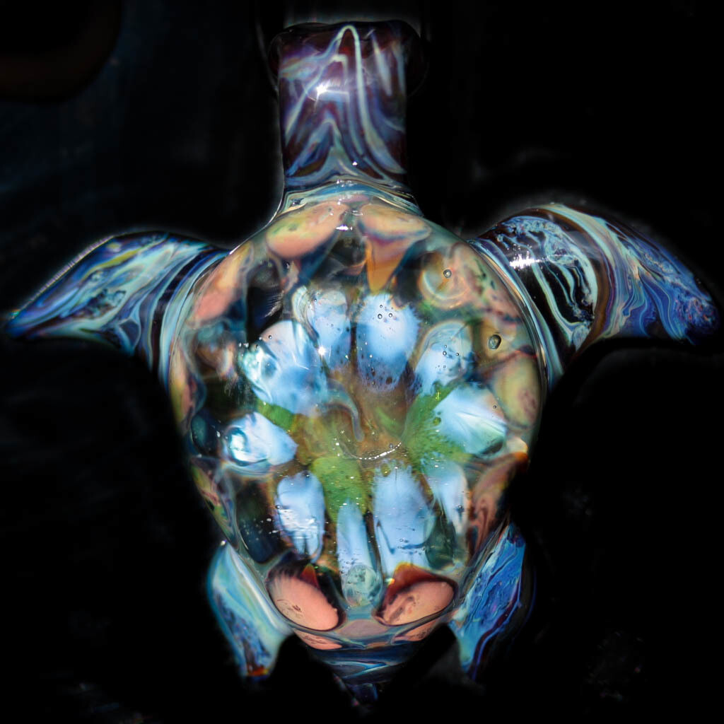 Deep Sea Glow Turtle