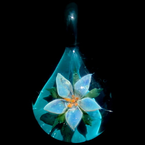 Silver Lily over Teal