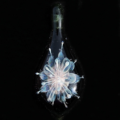 Anemone over Sparkly Black