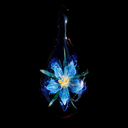Electric Blue Lily over Black