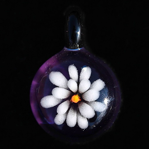 Daisy over Deep Purple