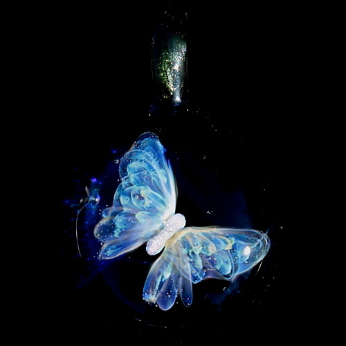 Ethereal Butterfly