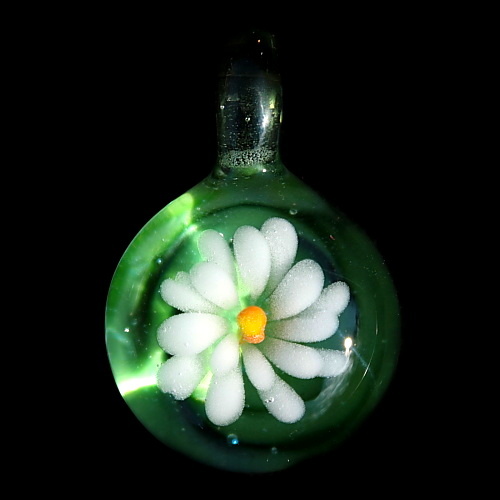 White Daisy over Green