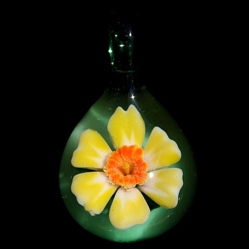 Daffodil over Emerald