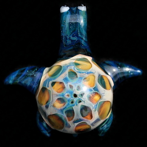 Dragon&#39;s Eye Sea Turtle