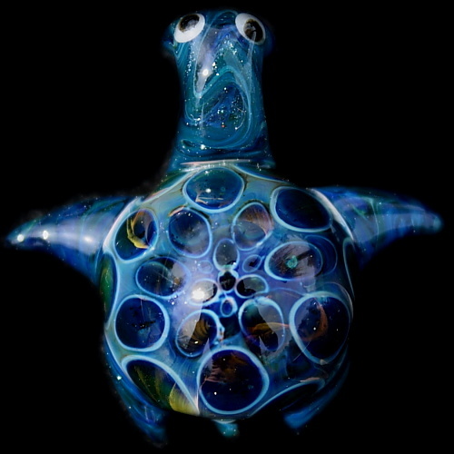 Blue Starburst Turtle