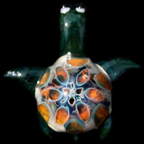 Amazon Night Turtle