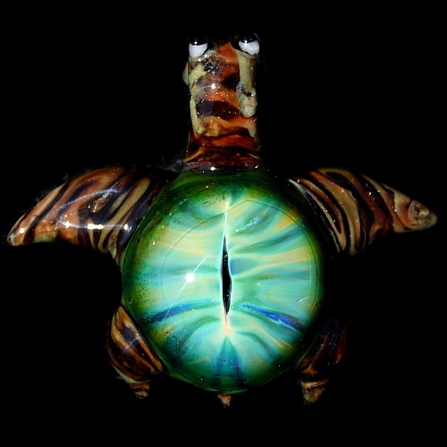 Dragon&#39;s Eye Turtle