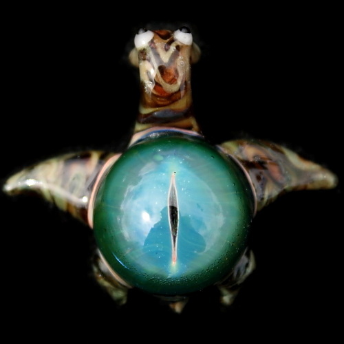 Blue Dragon&#39;s Eye Turtle