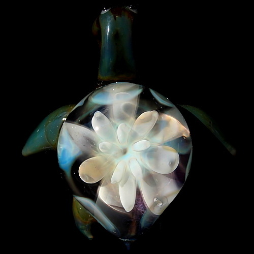 Anemone Sea Turtle