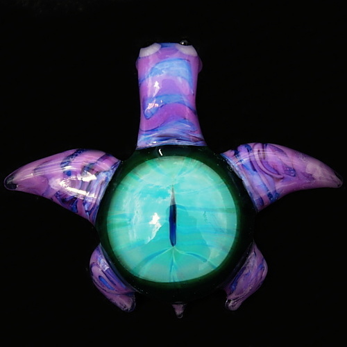 Caribbean Turtle