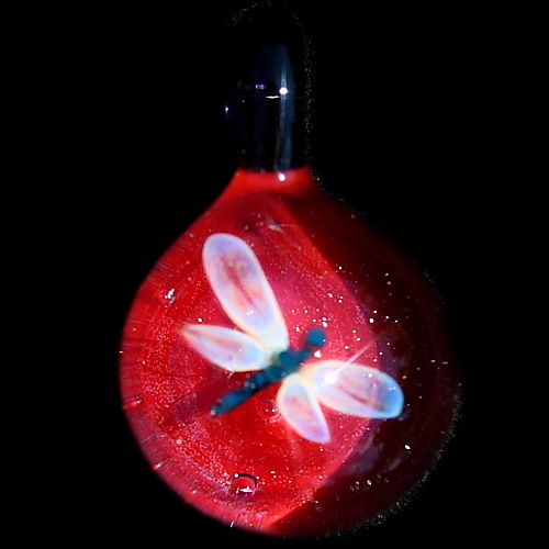 Dragonfly over Deep Red