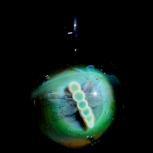 Dragonfly over Glowing Green