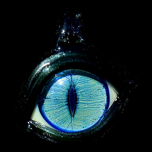 Blue Green Cat Eye