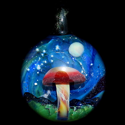 Midnight Mushroom
