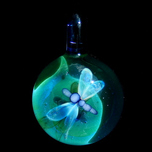 Dragonfly over Aqua Teal