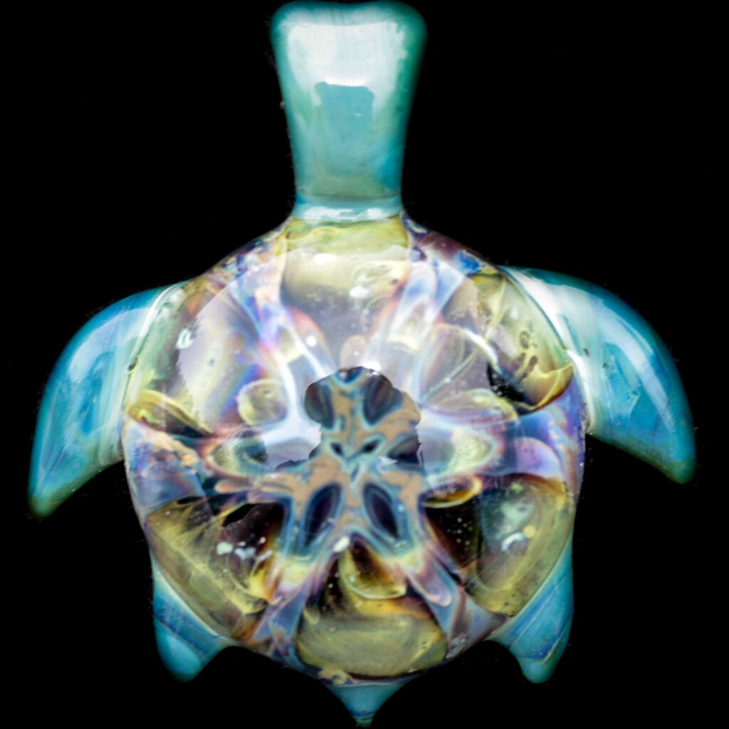 Favorite Turtle!