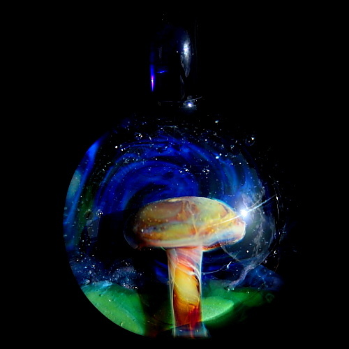 Midnight Mushroom