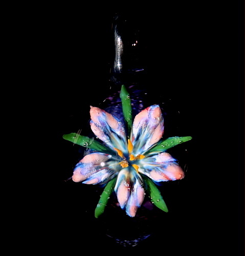 Star Gazer