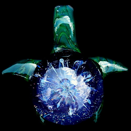 Anemone Sea Turtle