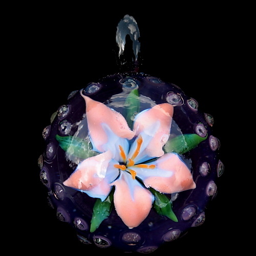 Water Lily