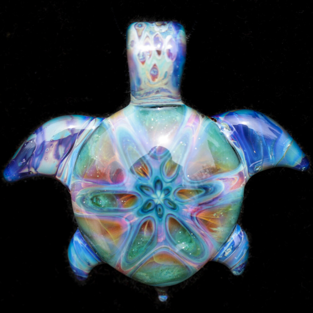 Super Cool Turtle!