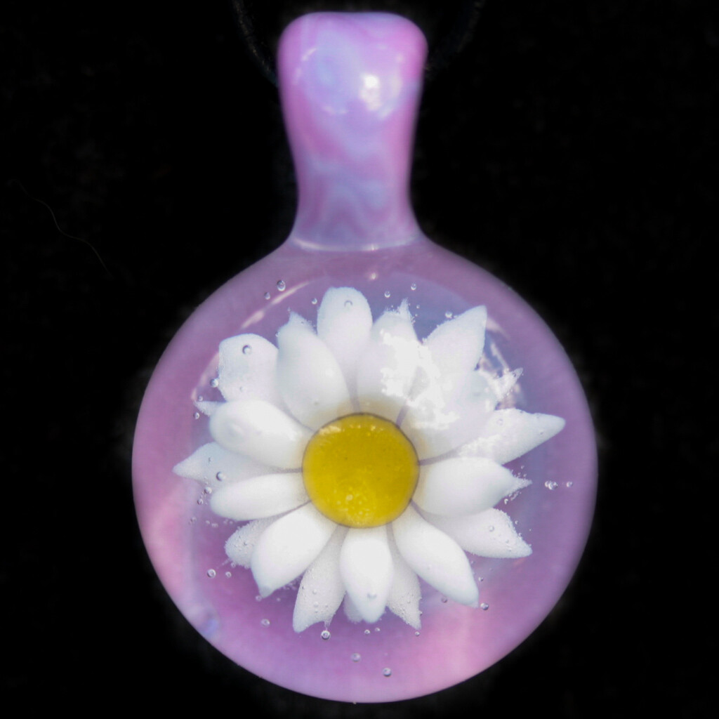 Lavender Daisy