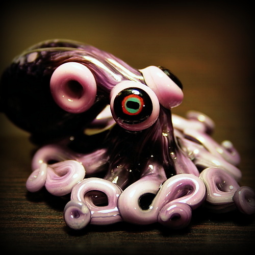 Baby Octopus