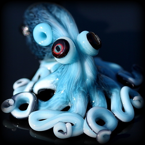 Aquapus