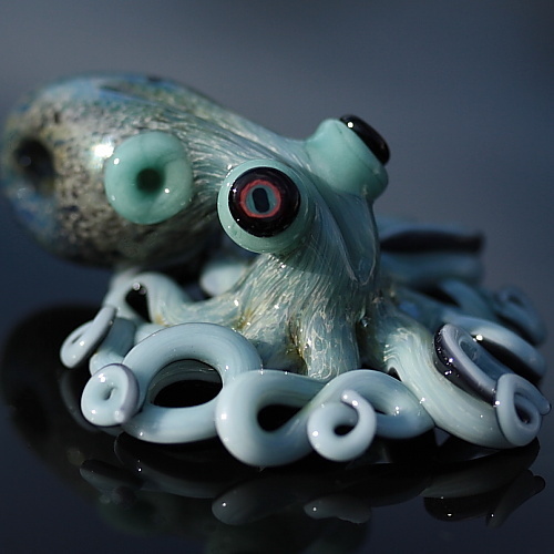 Aquapus