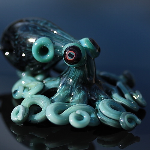 Teal Octopus