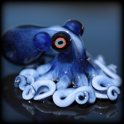Blue Octopus