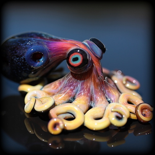 Rainbow Octopus