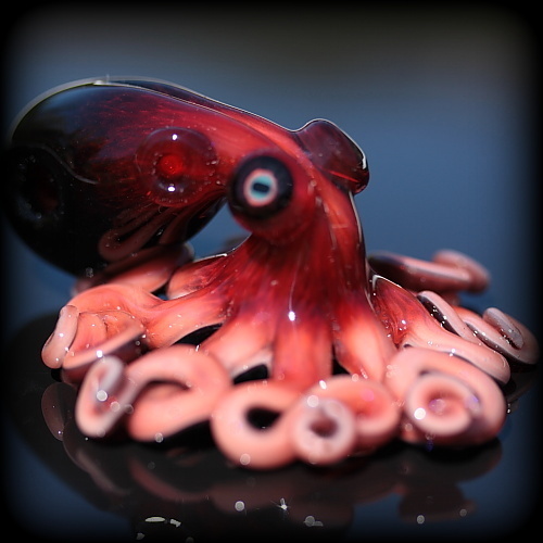 The Kraken