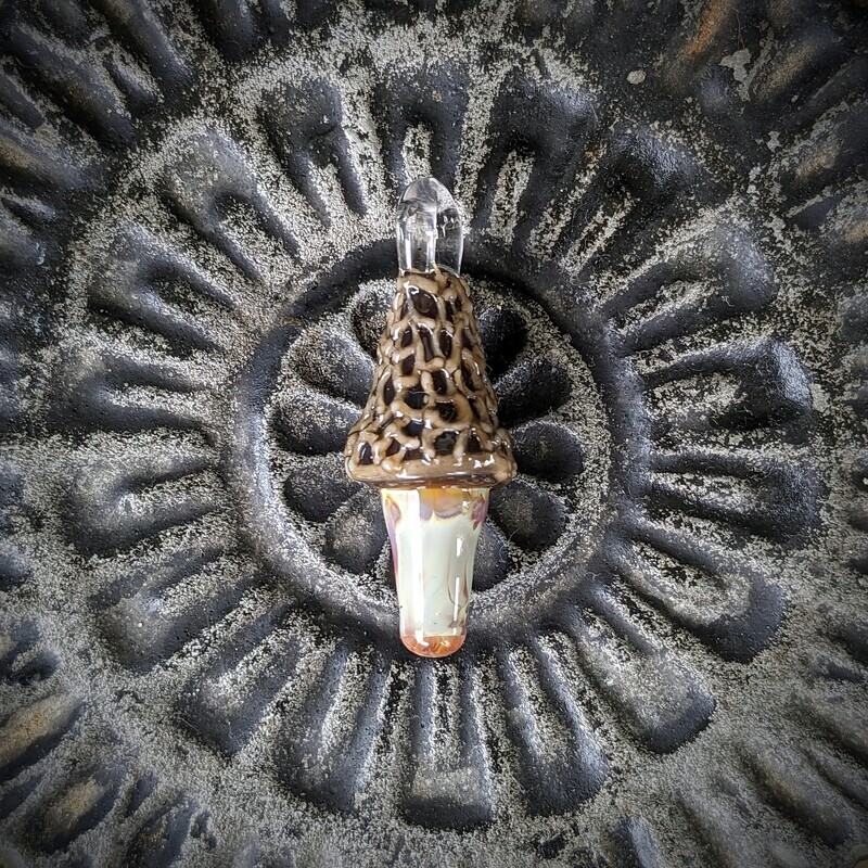 Morel