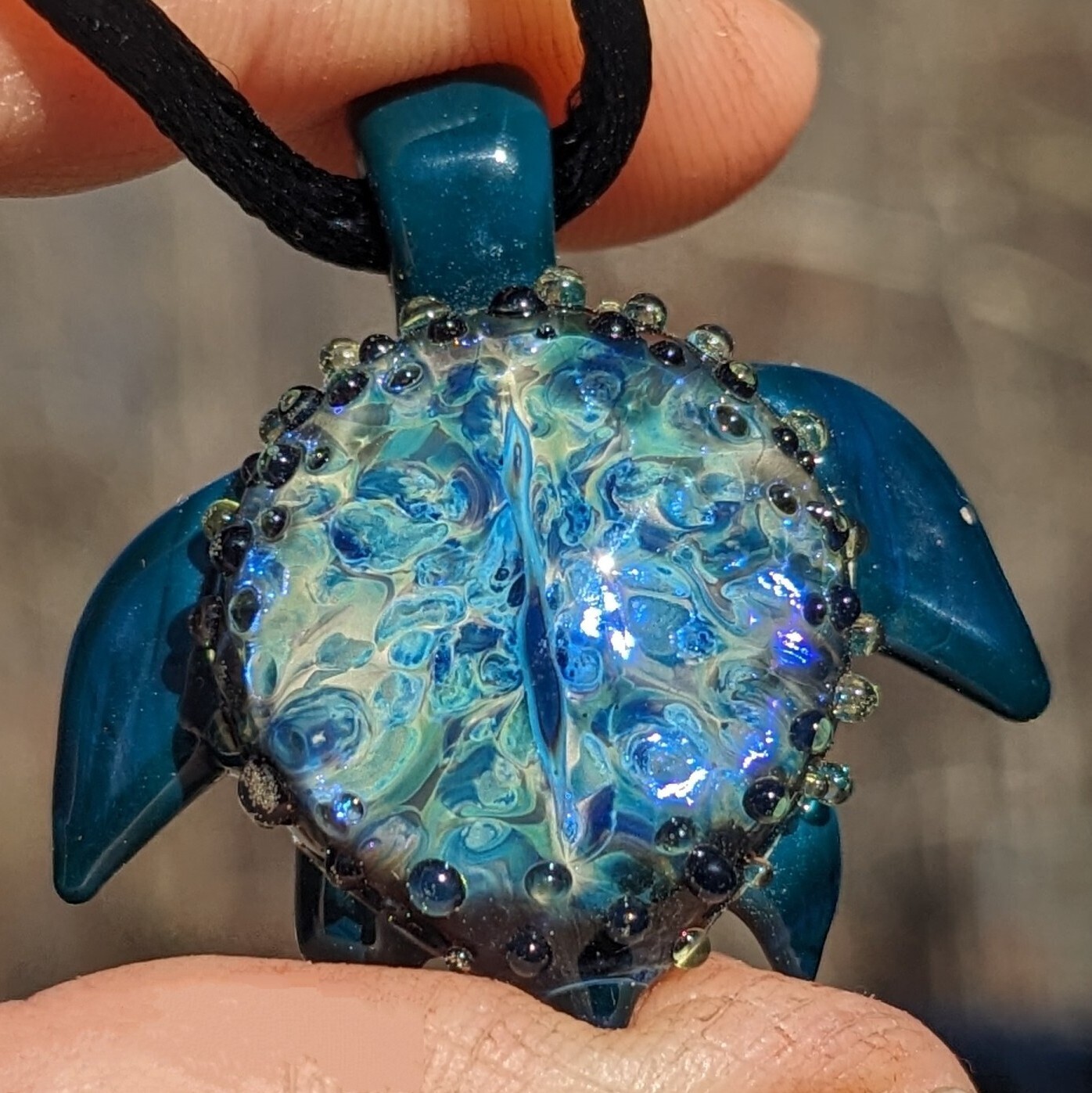 Dragon&#39;s Eye Turtle