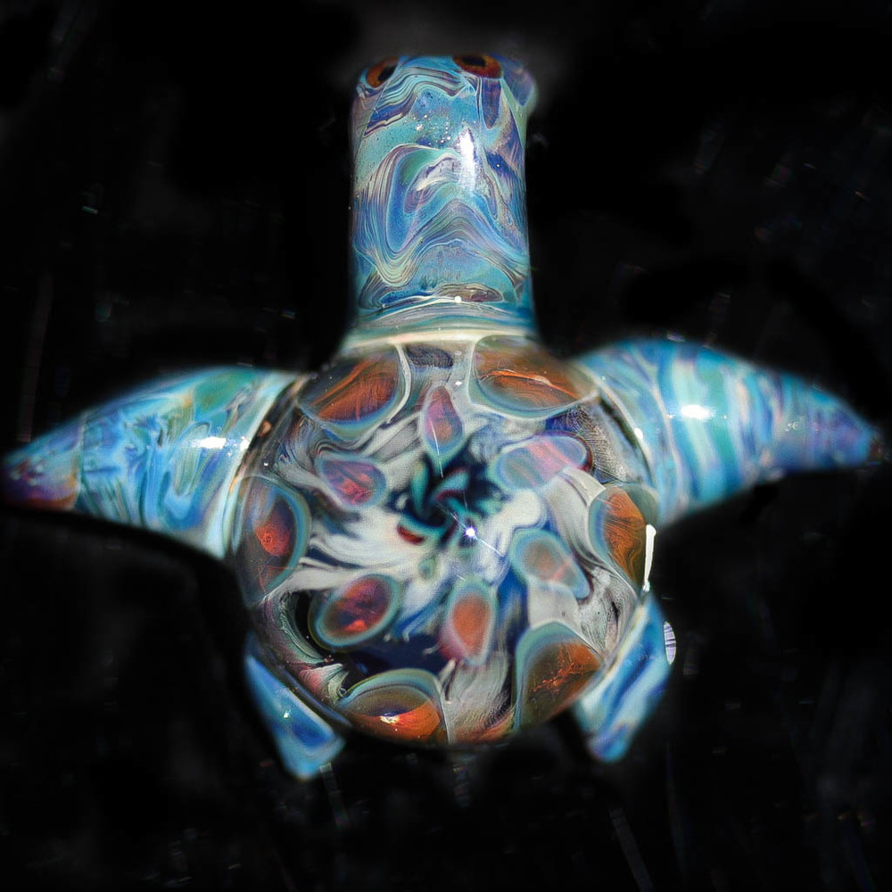 Exotice Earth Turtle