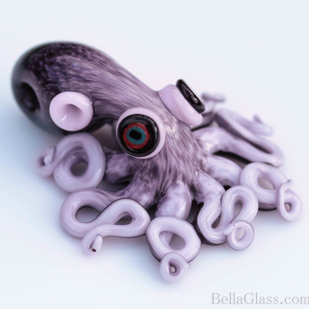 Pale Purple Octopus