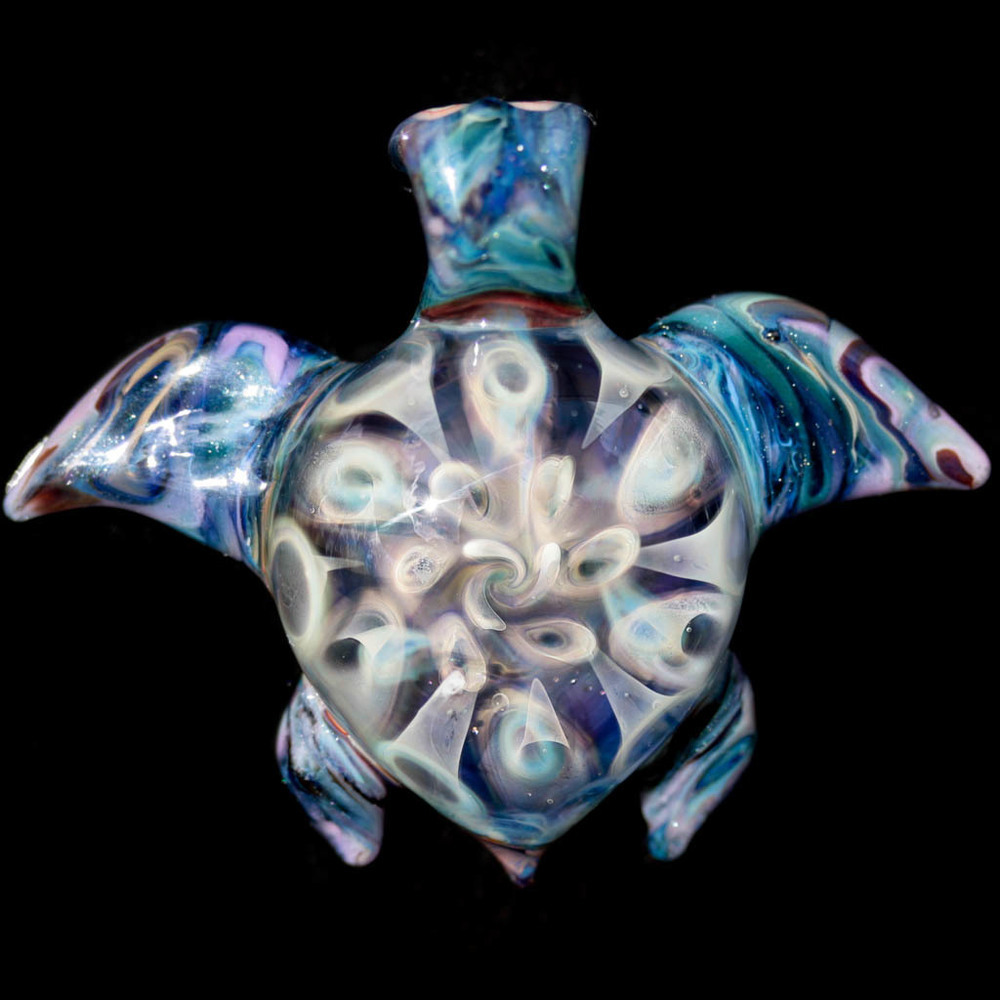 Anemone Sea Turtle