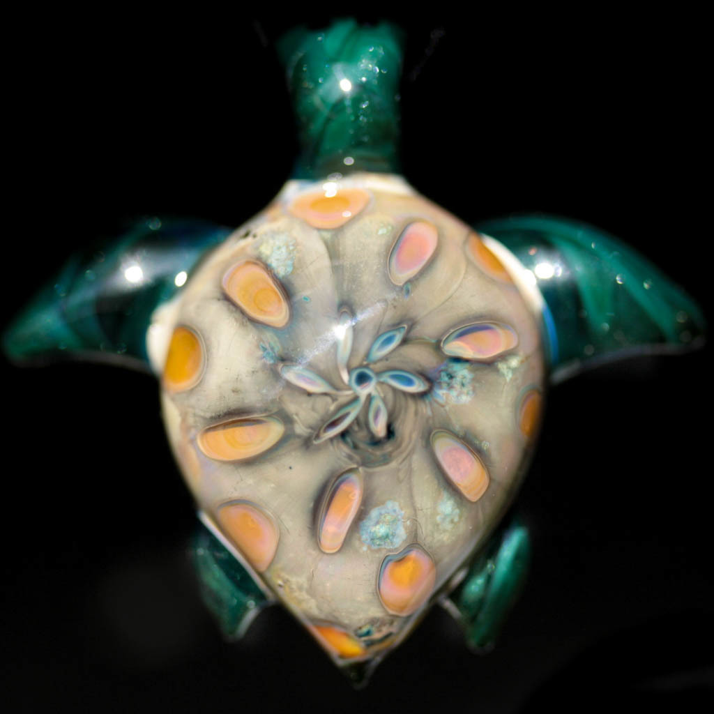 Sand Dollar Sea Turtle