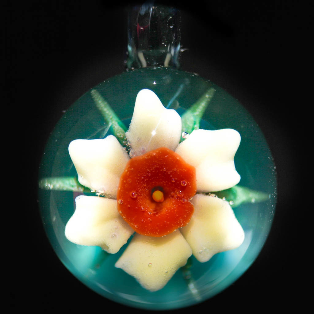 Daffodil over Aqua