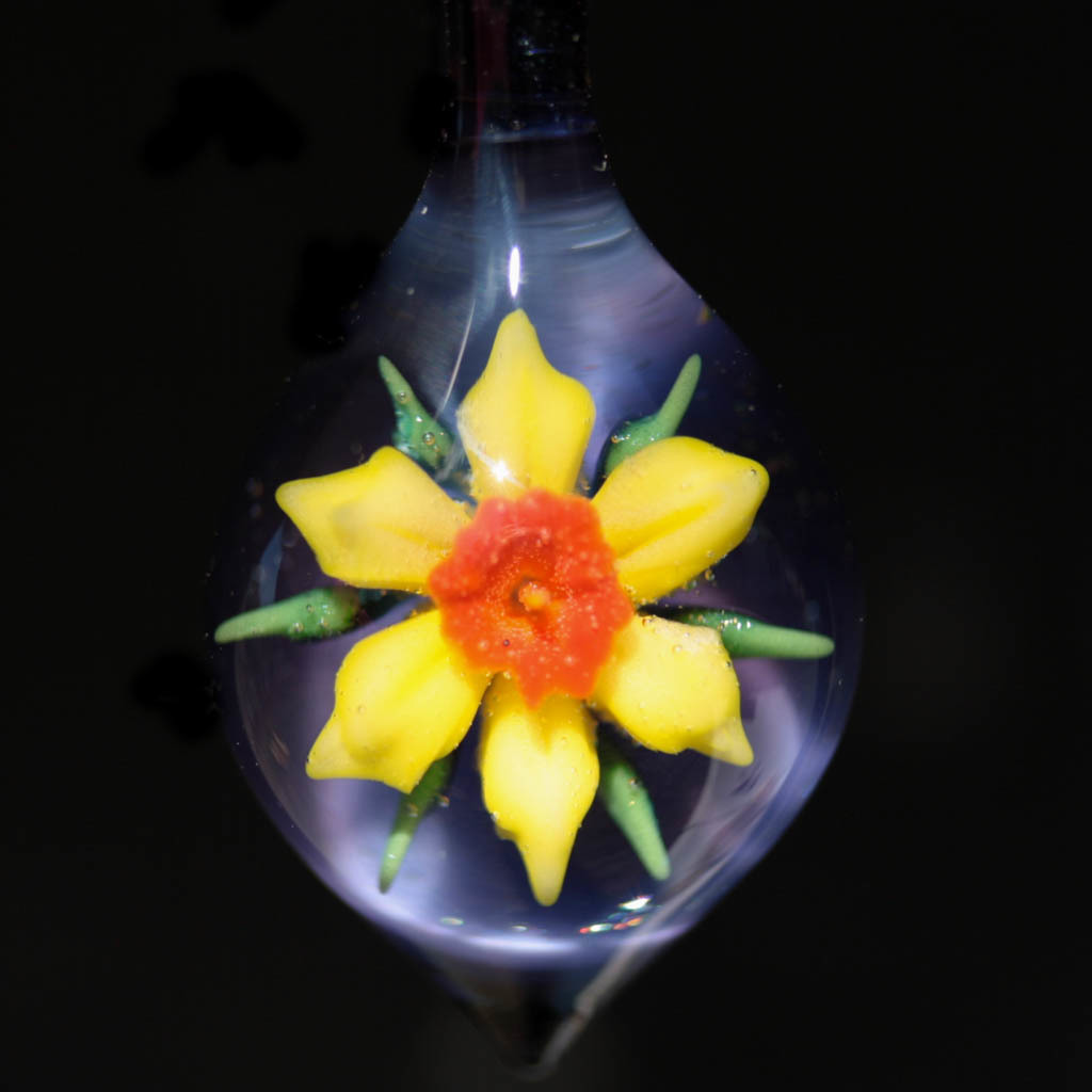 Daffodil over Deep Purple
