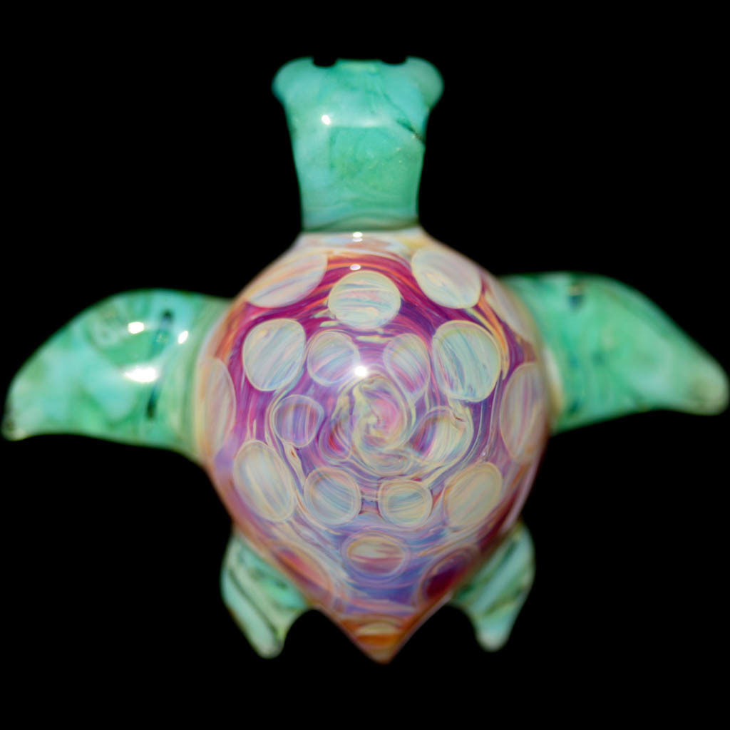 Candy Shell Turtle