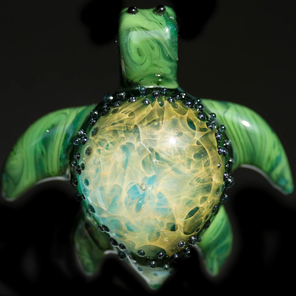 Tesla Turtle