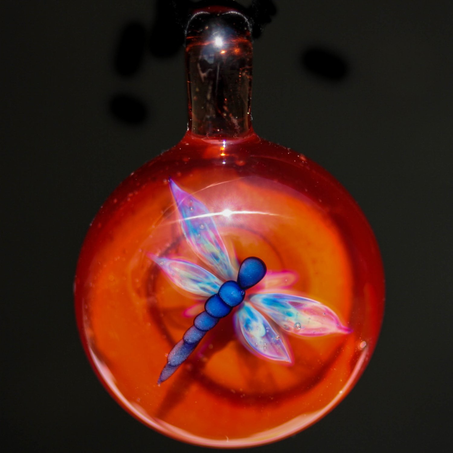 Favorite Dragonfly
