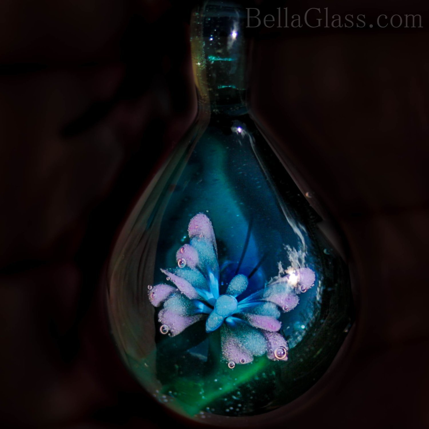 Butterfly over Dark Teal