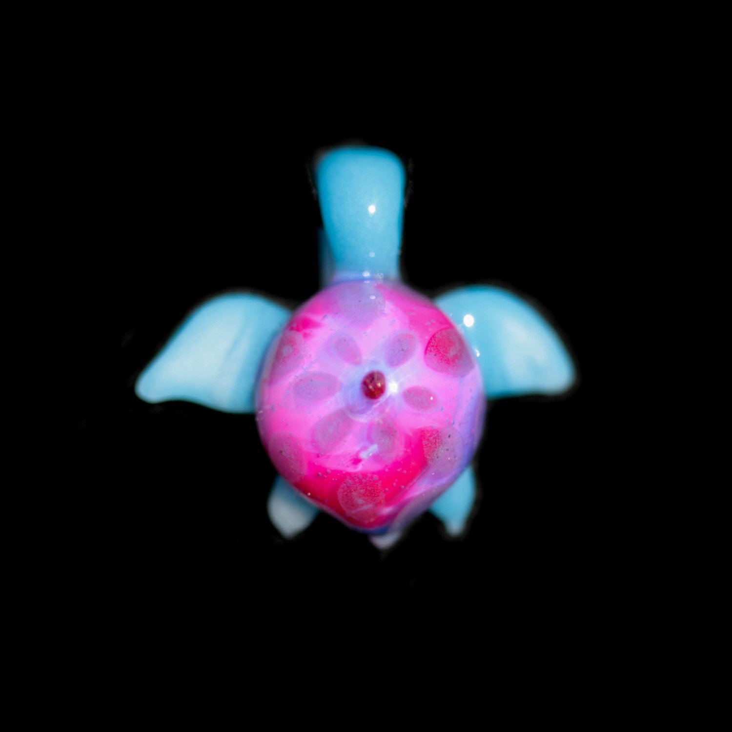 Tiniest Turtle Yet!