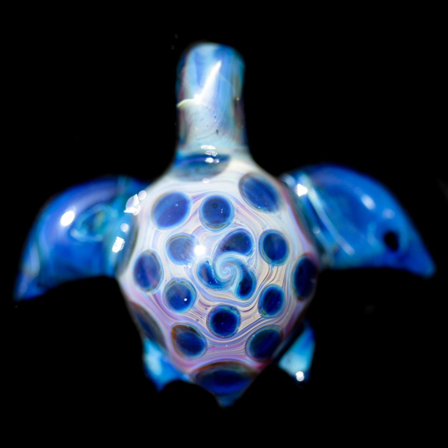 Polka Blue Turtle