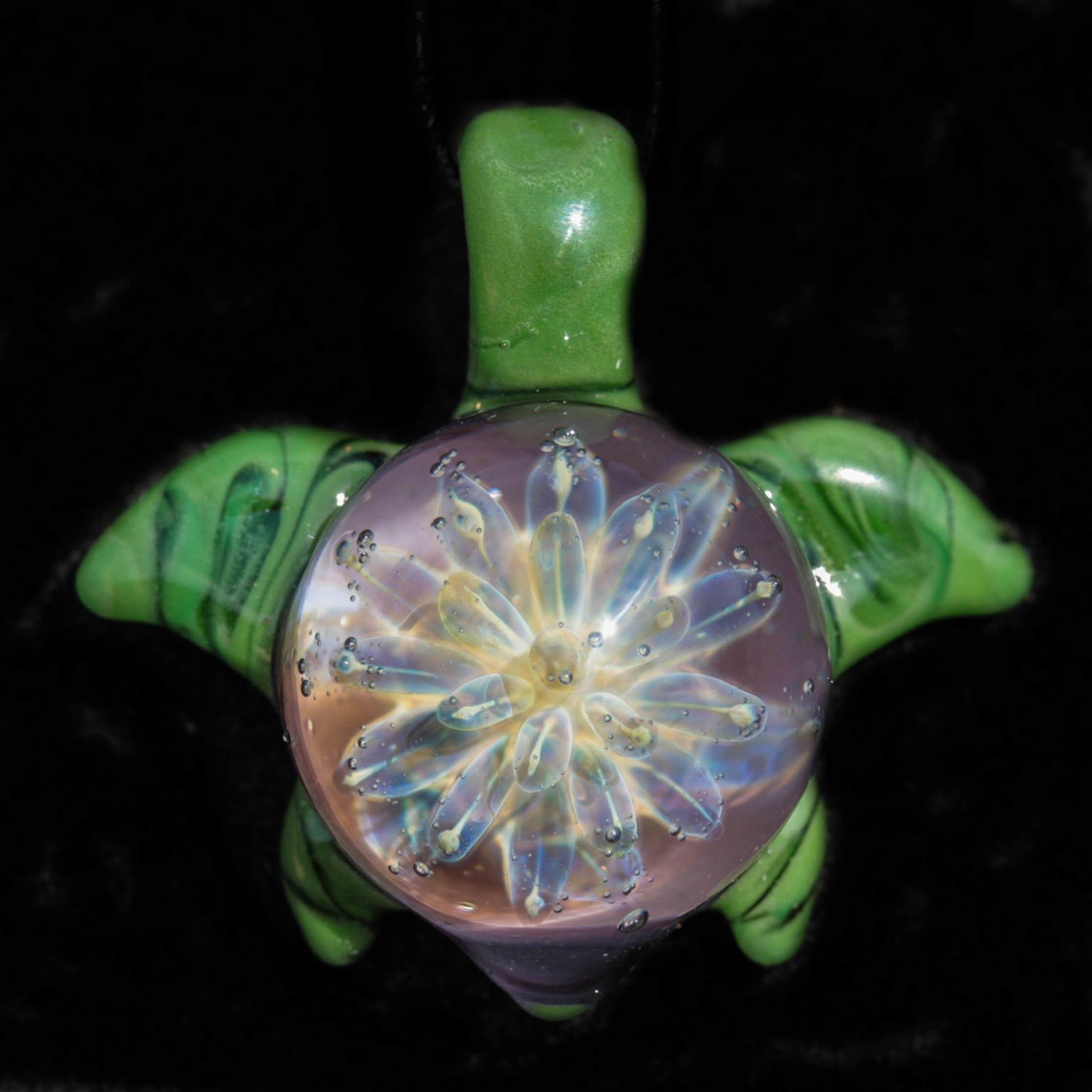 Sea Anemone Turtle